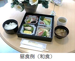 昼食例_お弁当