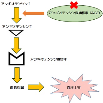 高血圧薬１